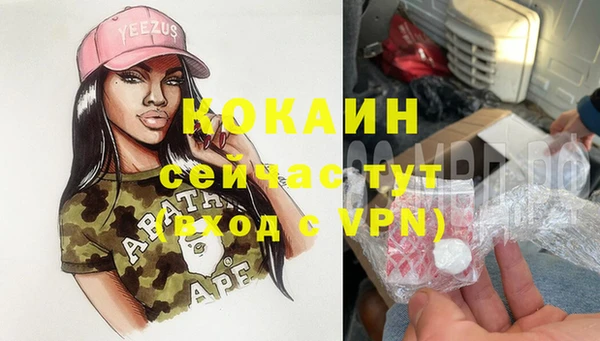 ГАЛЛЮЦИНОГЕННЫЕ ГРИБЫ Аркадак